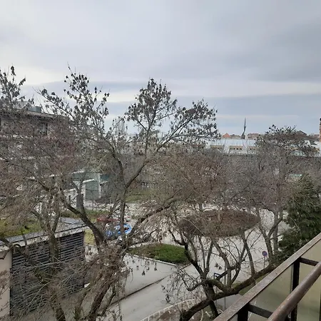 Charlotte Bellevue Daire Eğri